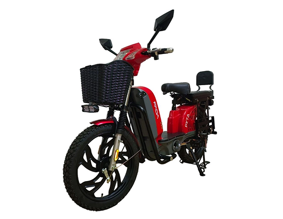 Электроскутер Двухместный FADA RUTA (1000W, 60V,15Ah) Красный